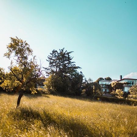 Hungen Bed & Breakfast Unter Den Linden מראה חיצוני תמונה
