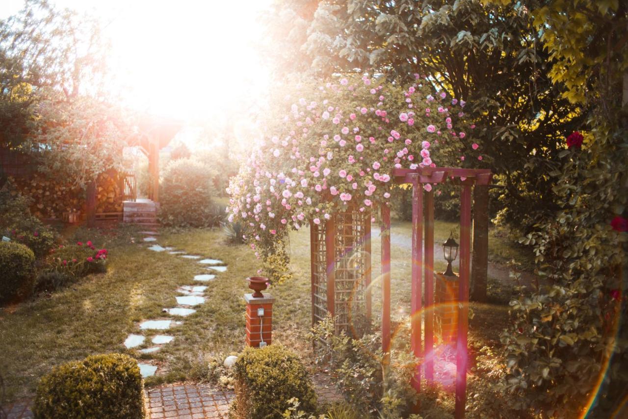 Hungen Bed & Breakfast Unter Den Linden מראה חיצוני תמונה