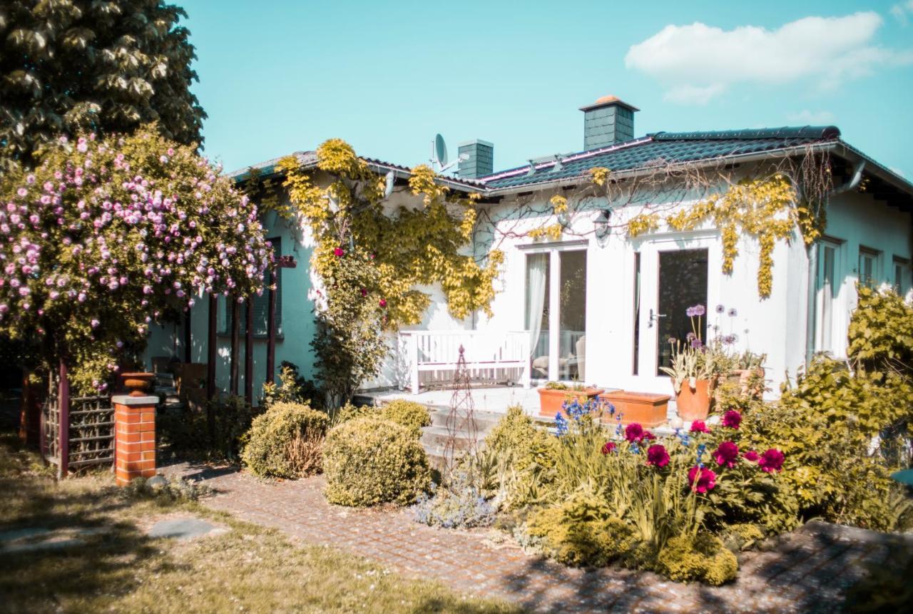 Hungen Bed & Breakfast Unter Den Linden מראה חיצוני תמונה