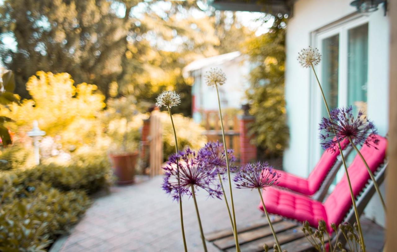 Hungen Bed & Breakfast Unter Den Linden מראה חיצוני תמונה